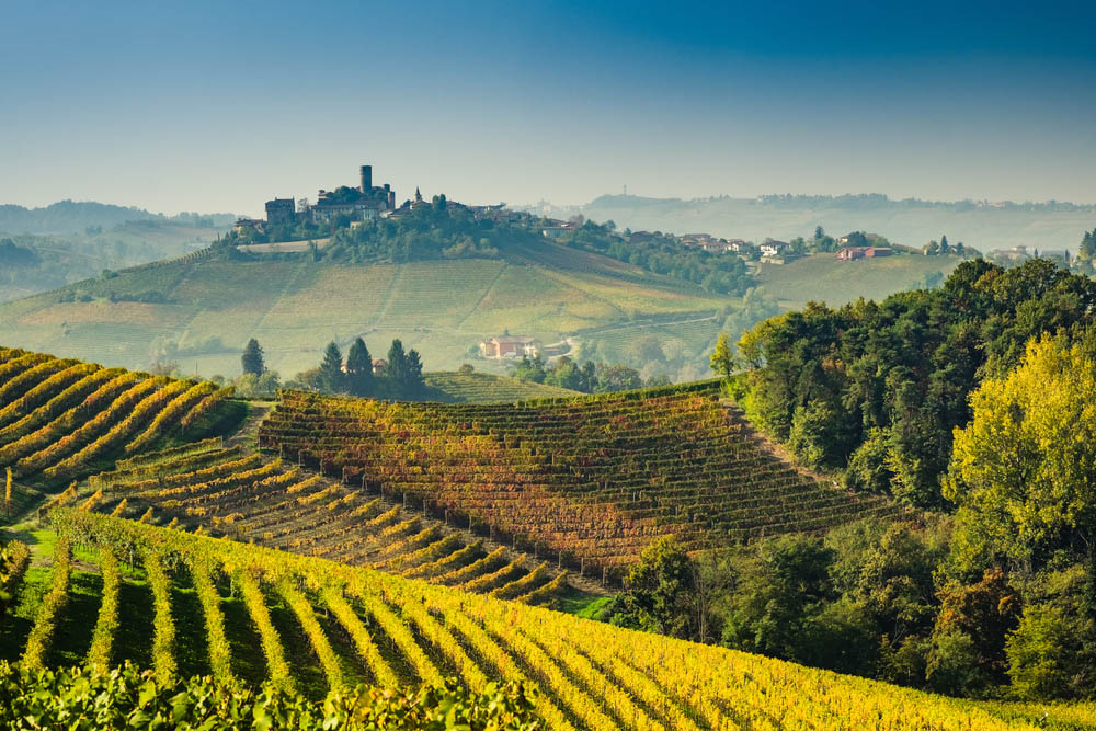 Vin från Piemonte
